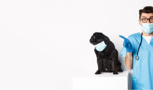 Clínica veterinària de l'Ebre